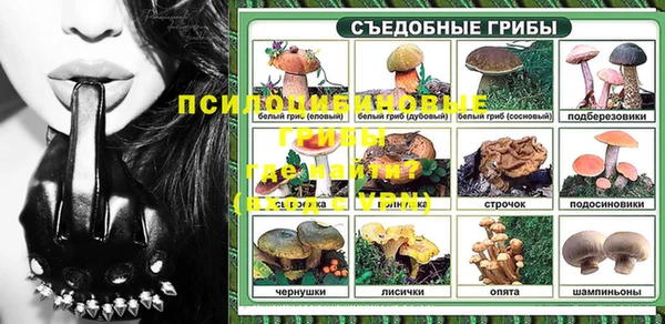 амф Аркадак