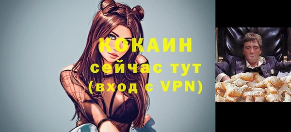 амф Аркадак
