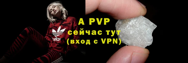 дживик Арсеньев