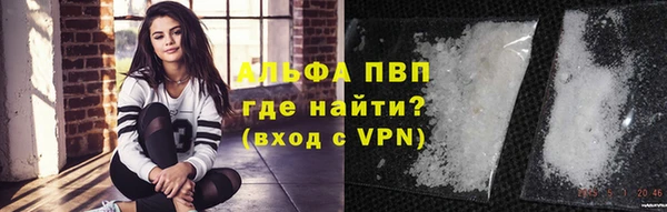 дживик Арсеньев