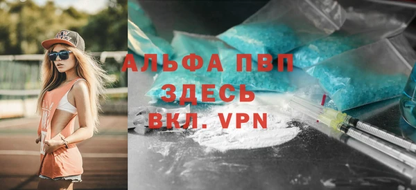 дживик Арсеньев