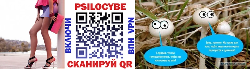 где продают наркотики  Мичуринск  Галлюциногенные грибы GOLDEN TEACHER 
